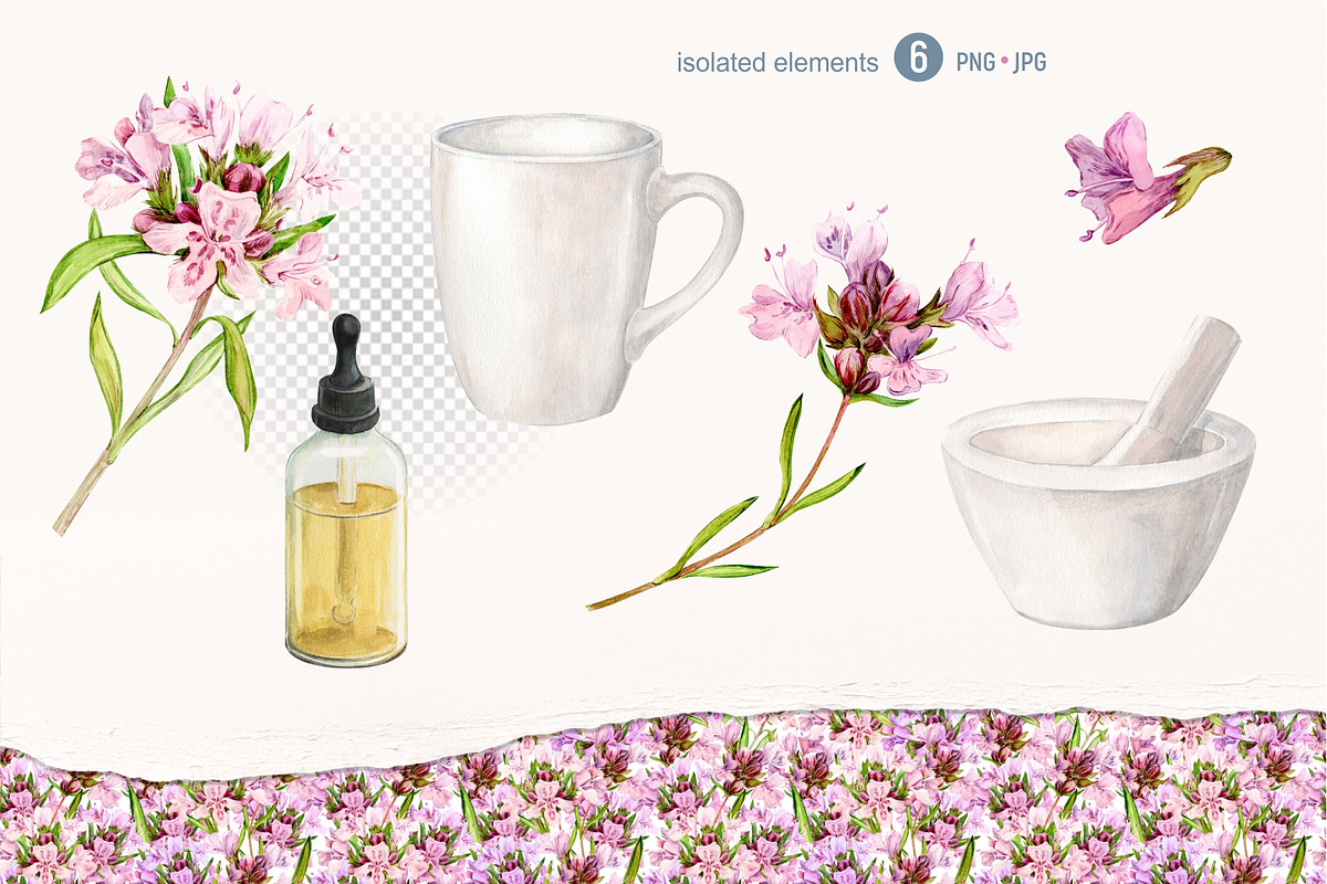 THYME tea. Watercolor set, a Food Illustration by Tata Pilip (Photo 3 of 6)