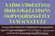 Olivas, a Serif Font by Khoir (Thumbnail 6 of 13)
