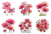 Spring daisy flower clipart, an Illustration by SinaCreation (Thumbnail 3 of 11)