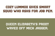 Texas Slab, a Slab Serif Font by Loudoun Design Co. (Thumbnail 6 of 6)