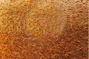 Close-up view of kiwi fruit skin, a Food & Drink Photo by darksoul72