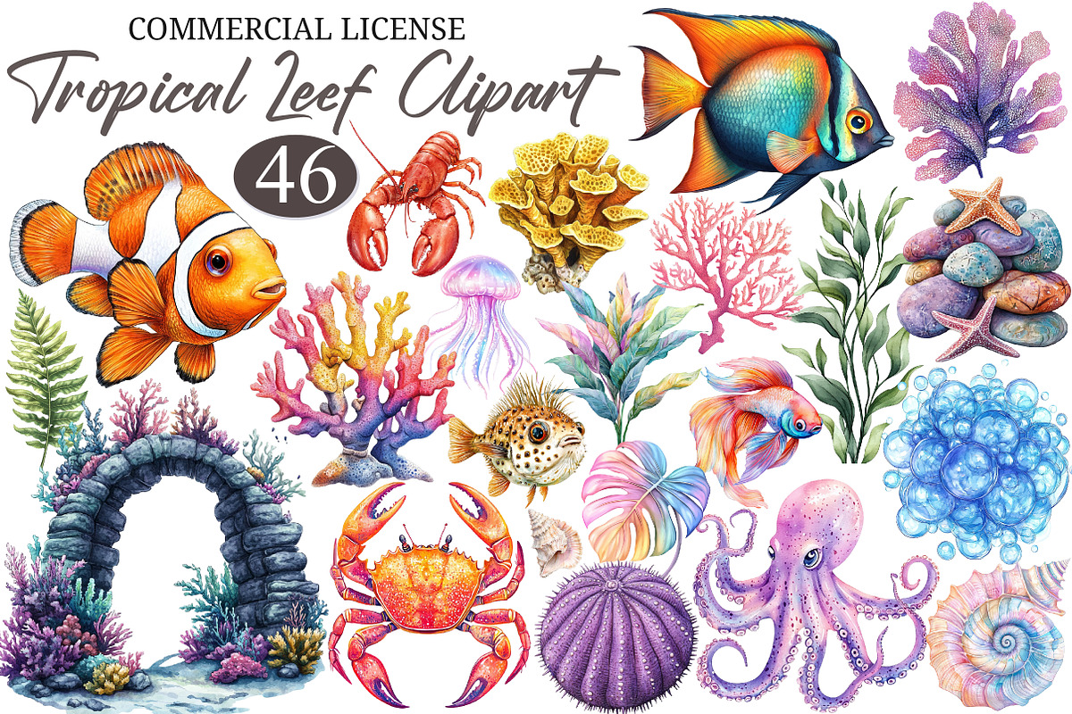 Hand Drawn Tropical Leef Clipart PNG, an Illustration by designcity5 (Photo 1 of 5)