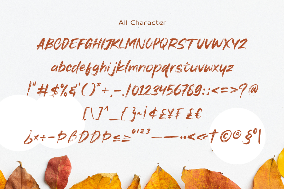 Autumn Brush Font, a Handwritten Font by Sronstudio (Photo 12 of 12)