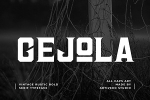 Gejola Bold Vintage Serif Font, a Serif Font by Artiveko