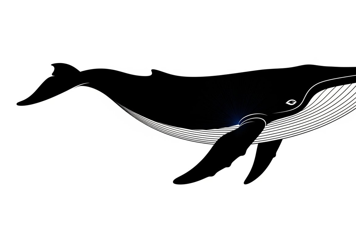 Ocean Marine Animal Silhouette, an Illustration by Amazin_art (Photo 26 of 31)