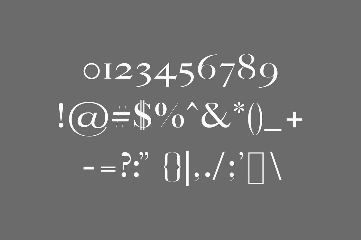 Thomas Craft A Modern Serif Typeface preview 3