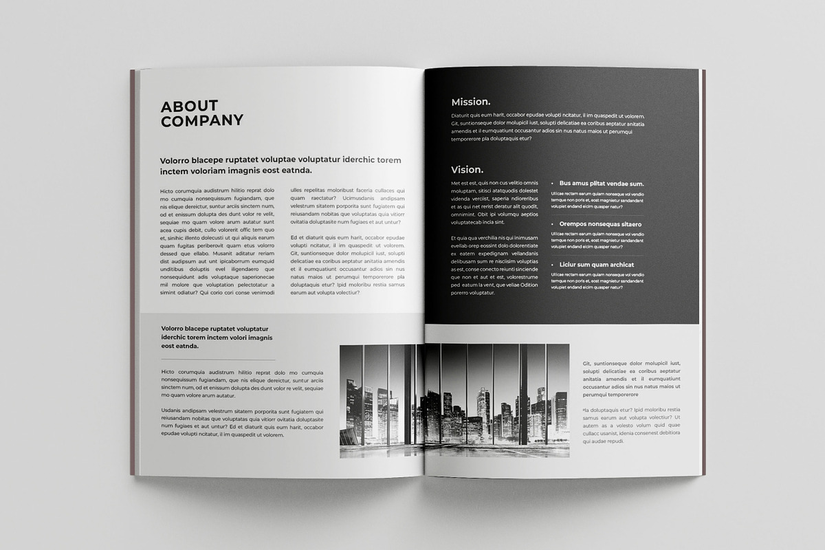 Business Profile Template, a Brochure Template by Niofix (Photo 3 of 6)