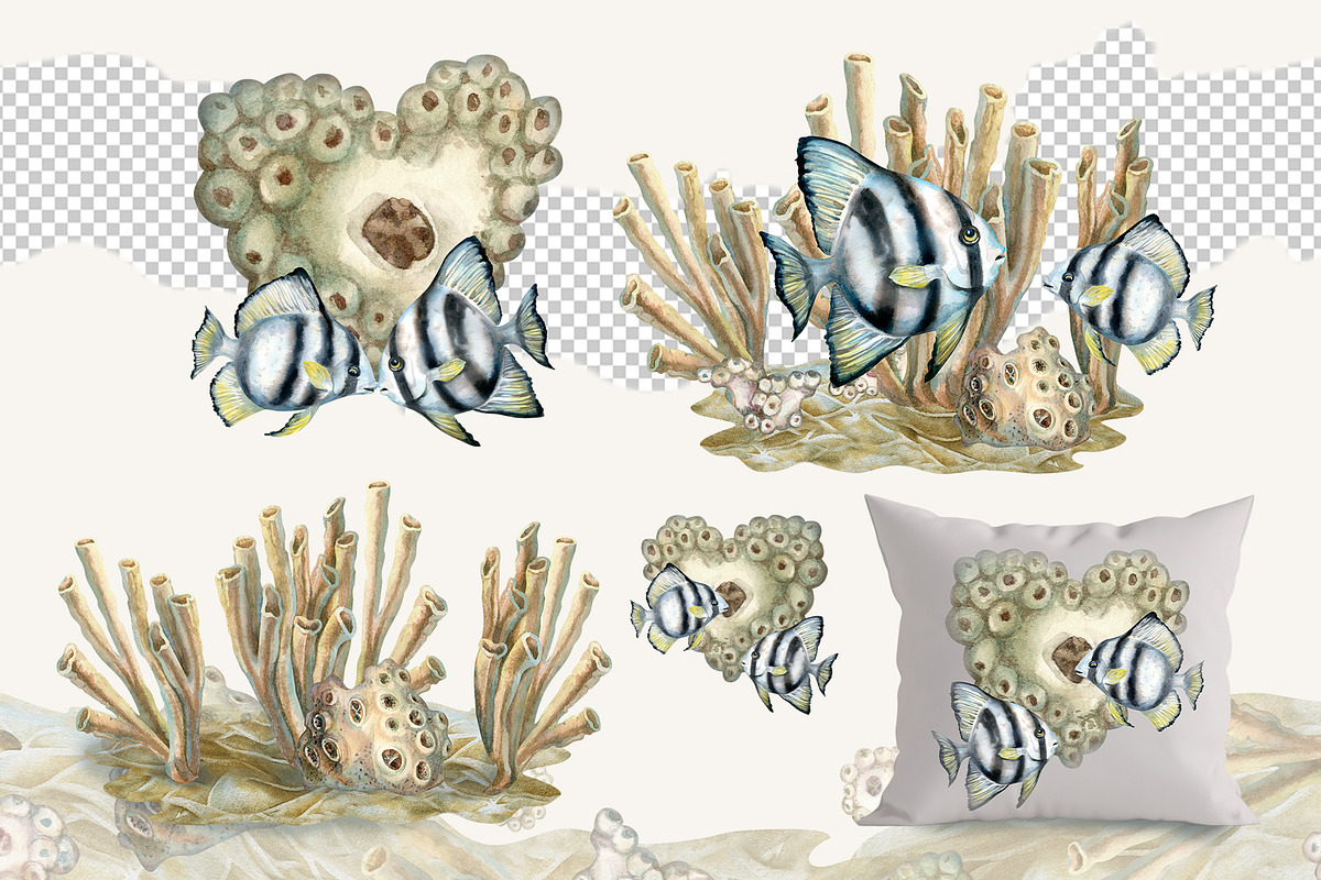 Calm fish watercolor clipart, an Animal Illustration by EL_SUHOVA (Photo 4 of 13)
