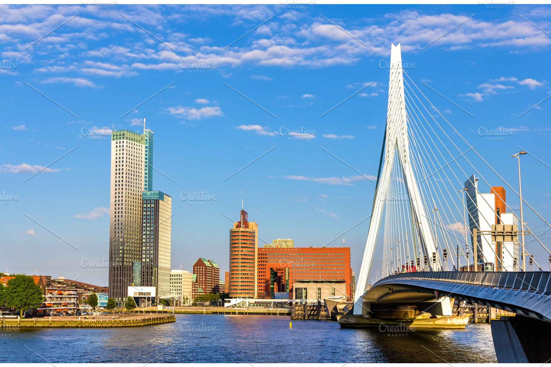View of erasmus bridge in rotterdam netherlands containing rotterdam, bridge, an Architecture Photo by Leonid Andronov