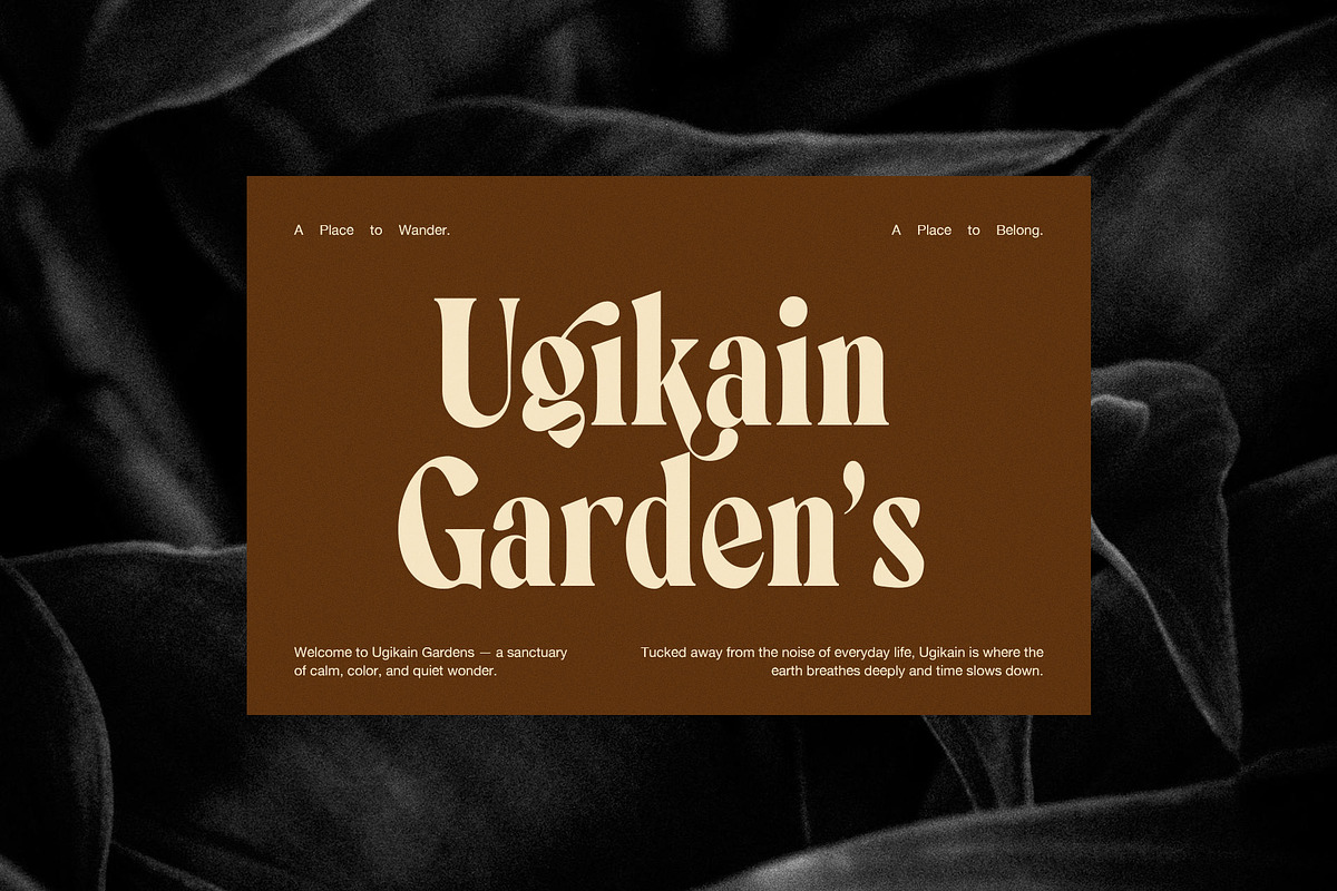 Annutte Elegant Serif Display Font, a Serif Font by Elegant Font (Photo 6 of 8)