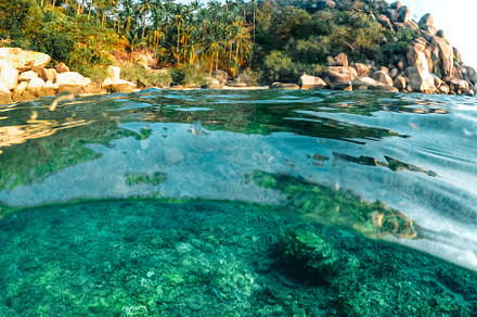 Under the sea and bay at Koh Tao, a Nature Photo by Art Rachen