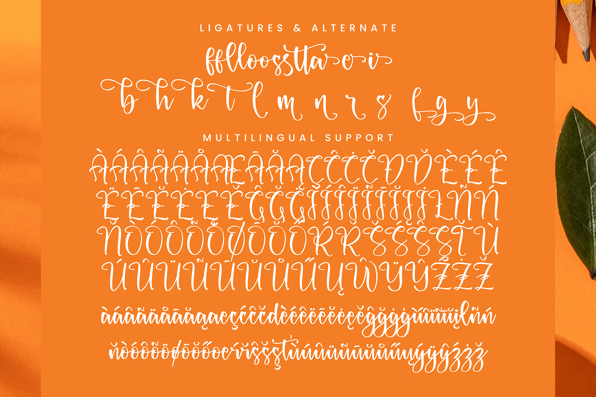 Dreams Pluffy, a Script Font by Integritype Studio (Photo 13 of 15)