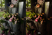 30 Flowers Lightroom Collection, a Preset Add-On by 3Motional (Thumbnail 6 of 11)