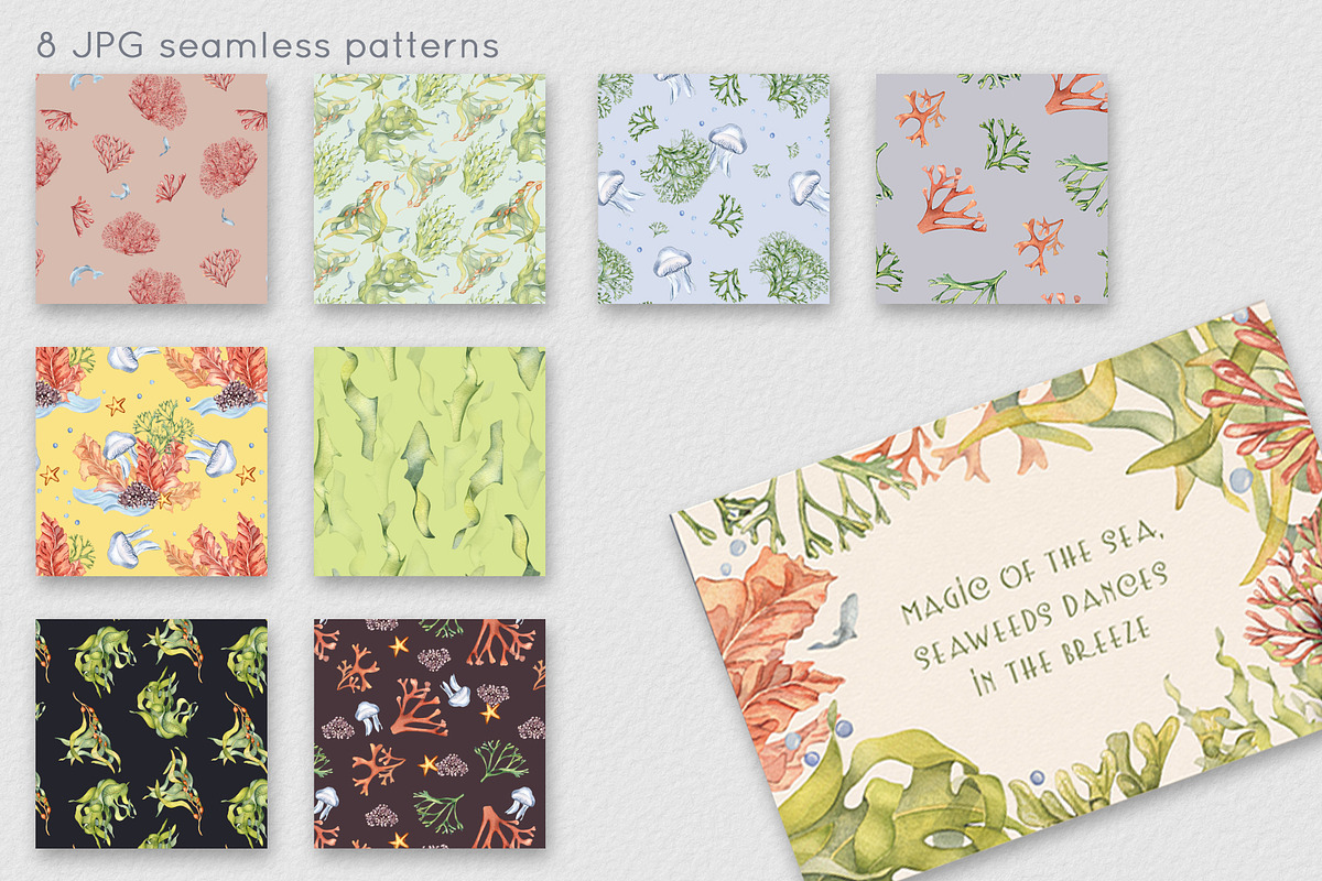 Sea plants watercolor collection, an Illustration by Kate Lanbina (Photo 17 of 18)