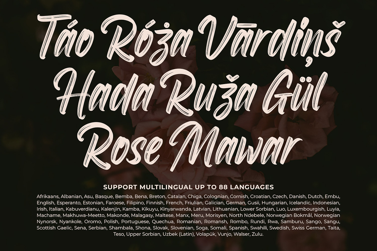 Roselight Brush, a Script Font by din-studio.com (Photo 11 of 16)