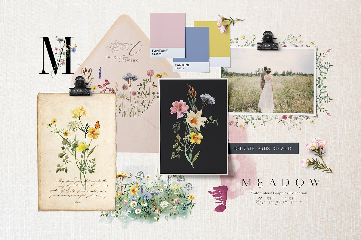 Meadow Wildflower Graphics, an Illustration by Twigs and Twine (Photo 13 of 14)