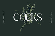 Blockstone Modern Display Serif Font, a Serif Font by UICreative (Thumbnail 9 of 13)