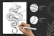 Procreate snake skin brushes, a Brush Add-On by KsTumanova (Thumbnail 2 of 4)