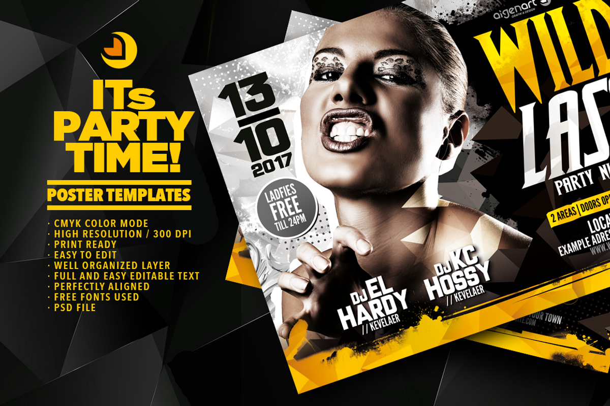 Wild Lass Party Night, a Flyer Template by aigenart (Photo 3 of 10)