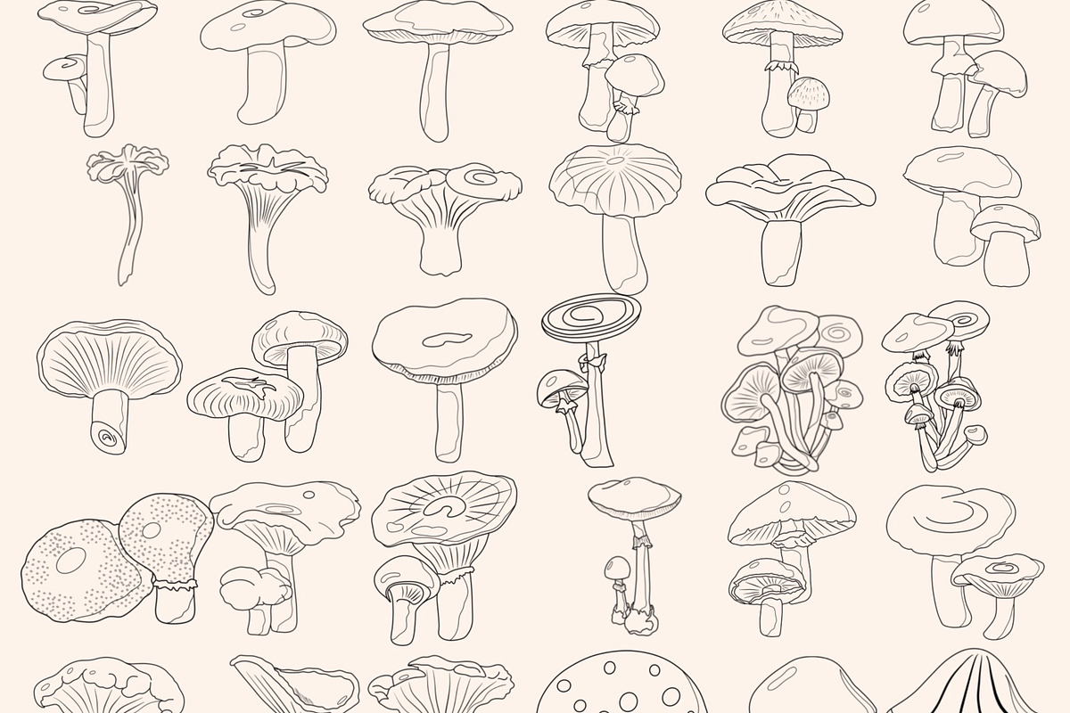 Mushrooms Digital Stamps, a Graphic by Favorites_Art (Photo 6 of 15)