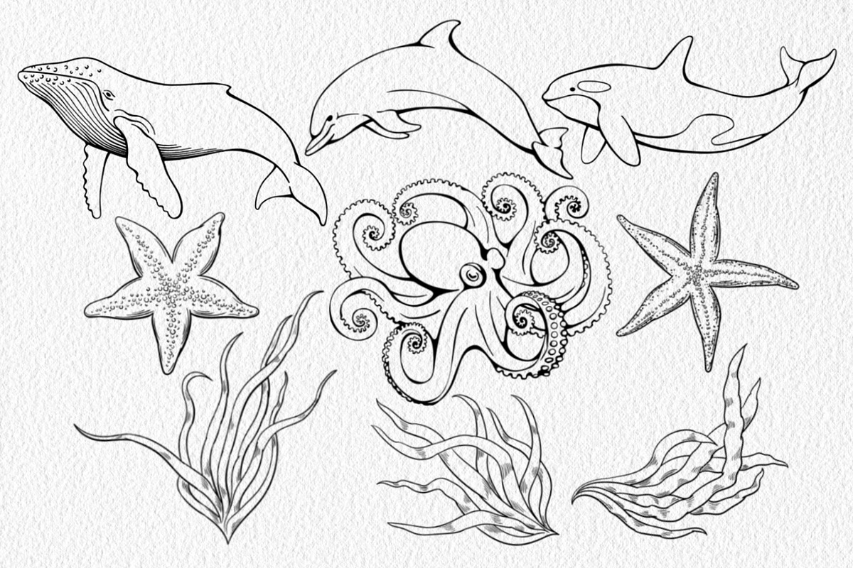 Sea life Procreate Stamp brushes, a Brush Add-On by ViktoriArt (Photo 4 of 7)