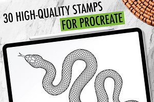 30 Procreate Snake Stamps