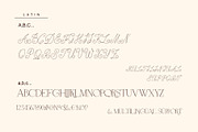 Anna Monro Cyrillic Script Serif, a Script Font by IraDvilyuk (Thumbnail 10 of 11)
