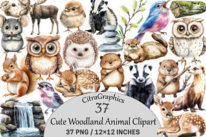 Cute Woodland Animal Clipart, an Illustration by CitraGraphics