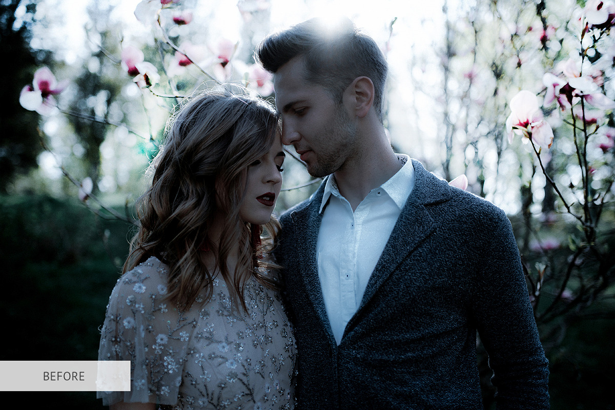 Sepia Tones Presets for Lightroom, a Plug-in Add-On by FixThePhoto (Photo 35 of 39)
