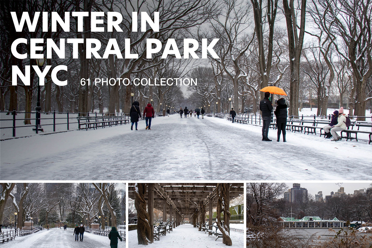 Winter In Central Park NYC Photos, an Arts & Entertainment Photo by Full Circle Design Studio (Photo 1 of 5)