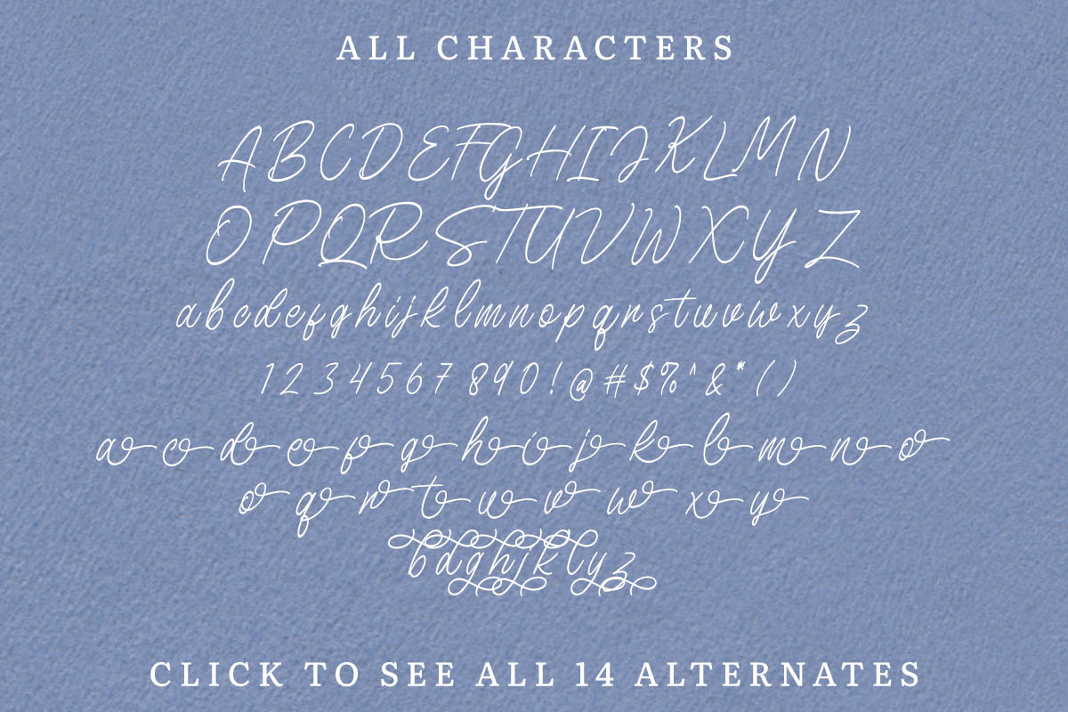 Birdspring Signature, a Script Font by Rillatype (Photo 12 of 13)
