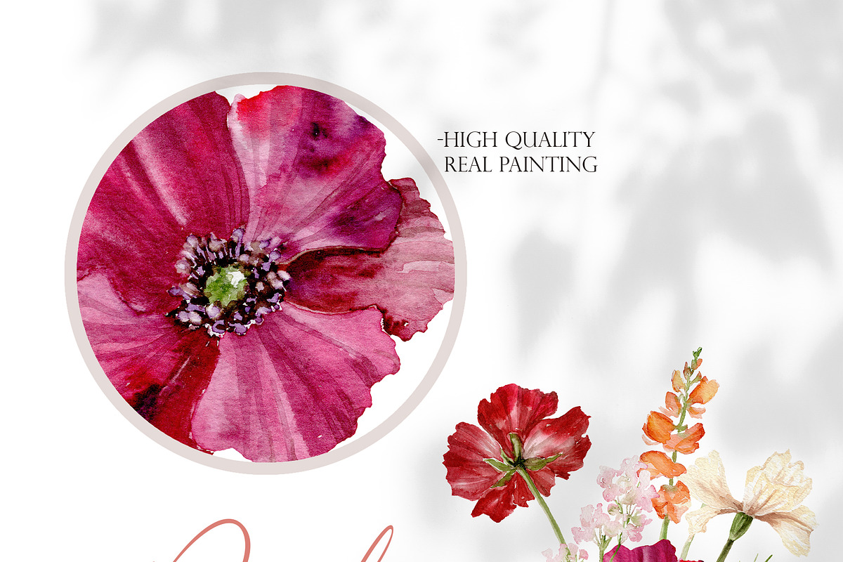 Watercolor ANEMONE Flower - Pick Me!, a Decorative Illustration by Beigetime (Photo 2 of 16)
