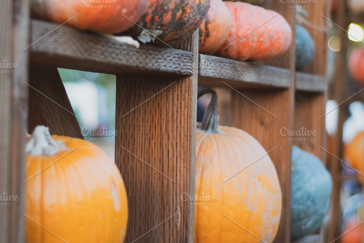 Fall Pumpkin Stock Bundle, a Holiday Photo by r.r.palacios (Photo 10 of 15)