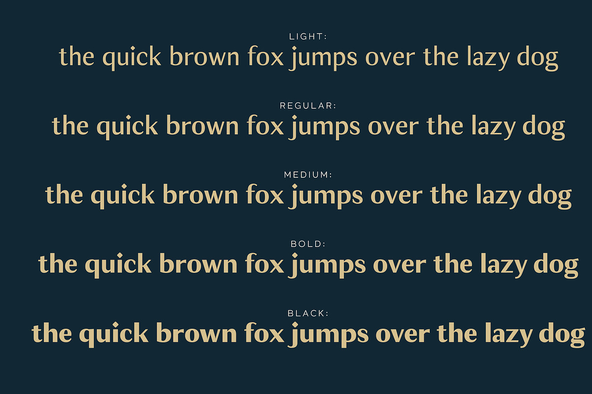 JT Douro Sans, a Sans Serif Font by JAM Type (Photo 9 of 11)
