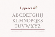 Morgen - Handwritten Serif Font, a Serif Font by Craft Supply Co. (Thumbnail 5 of 9)