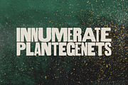 Aurochs: letterpress type family, a Sans Serif Font by Polymath (Thumbnail 6 of 12)