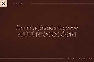 Gleed - Minimal Serif Typeface