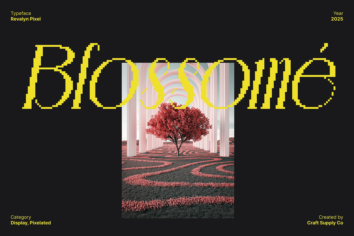 Revalyn Pixel, a Serif Font by Craft Supply Co. (Photo 7 of 8)