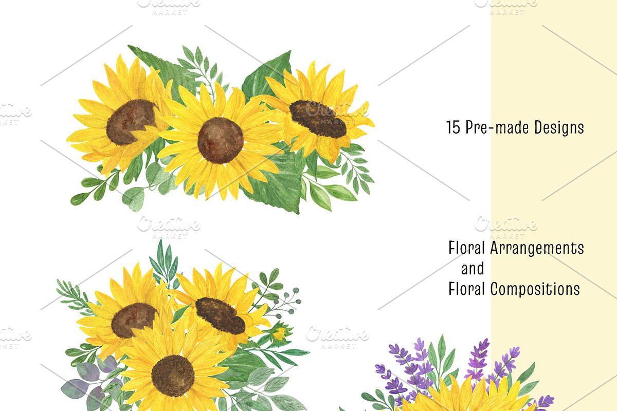 Sunflowers Watercolor Collection, an Illustration by Contes_de_fée (Photo 2 of 21)