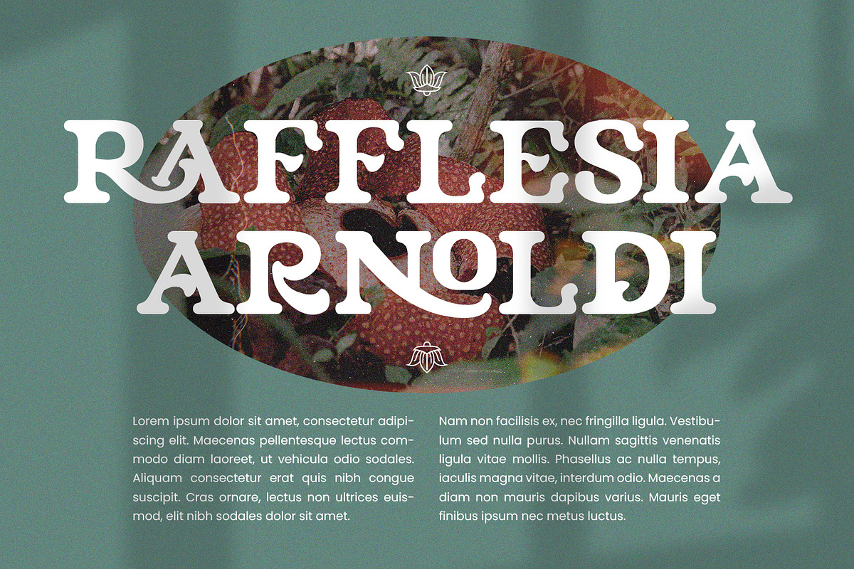 Niraloka - Serif Vintage Display, a Serif Font by Mantra Naga (Photo 10 of 10)