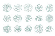 63 Succulents illustration set, a Decorative Illustration by Artha Design Studio (Thumbnail 4 of 4)