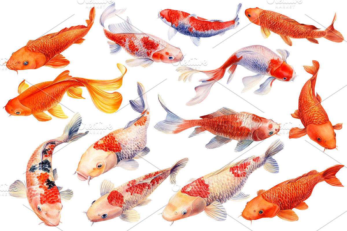 Lotus flowers and koi fish, an Animal Illustration by Hanna Hryharenka (Photo 2 of 13)
