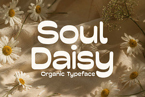 Soul Daisy - Organic Font, a Sans Serif Font by HipFonts
