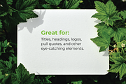 Eco Linear Alphabet, a Graphic by @JennyPaintsWithPixels (Thumbnail 5 of 5)