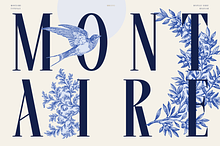 Montaire - Old Money Serif