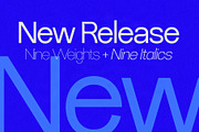 Ryecroft - Variable Sans Typeface, a Sans Serif Font by SilverStag Type Foundry (Thumbnail 12 of 20)