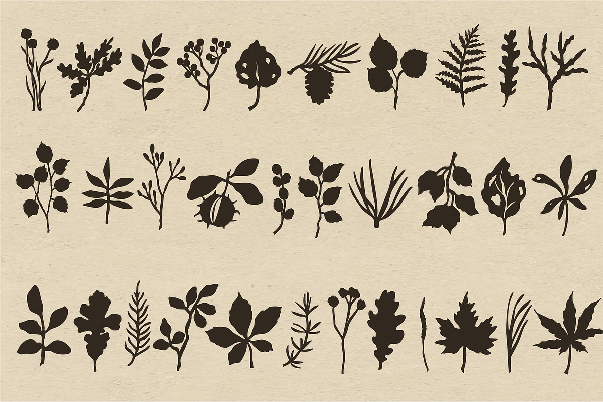 Autumn Botanicals Clipart, a Seasonal Illustration by RaDavCrafts (Photo 5 of 12)