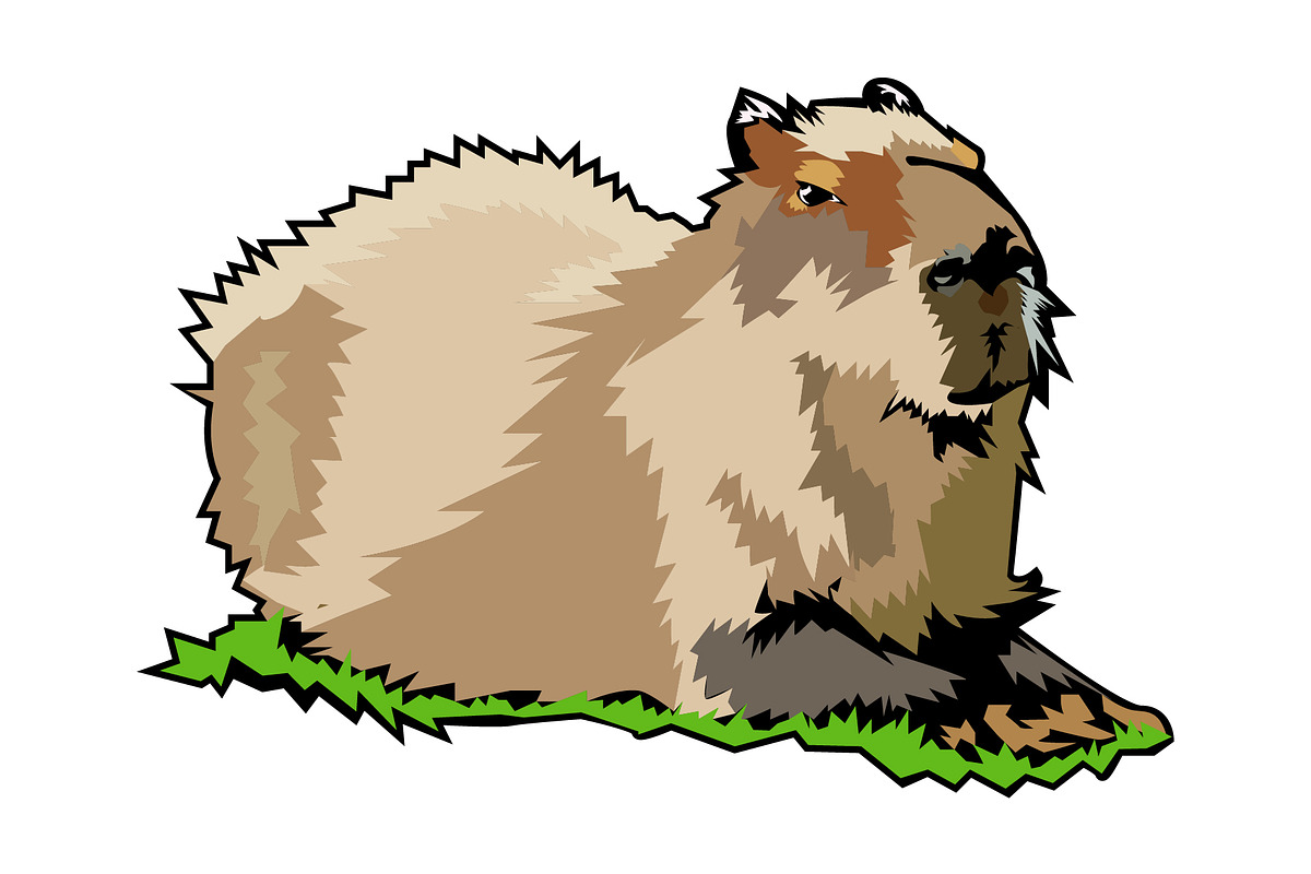 Capybara illustration, an Animal Illustration by Sumberpangan (Photo 3 of 3)