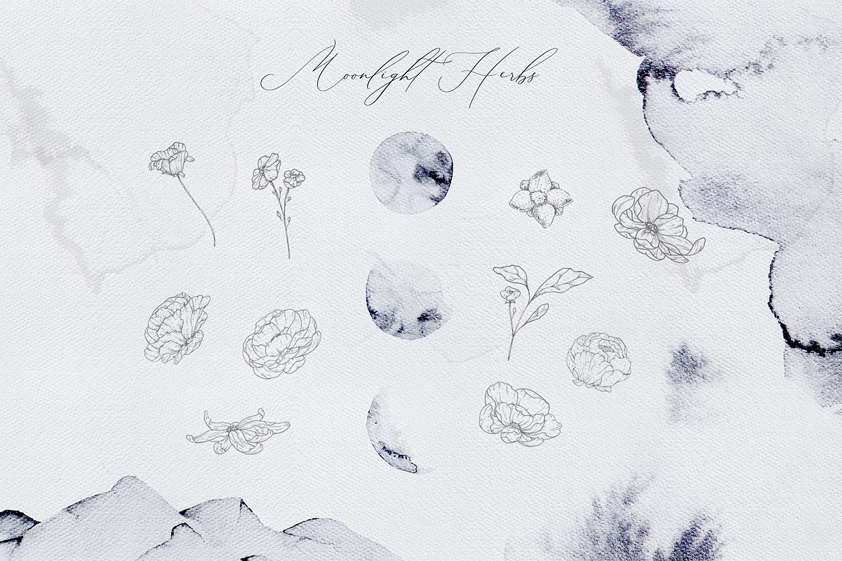 Elegant Watercolor Illustration Set, a Texture Illustration by Laras Wonderland (Photo 4 of 11)