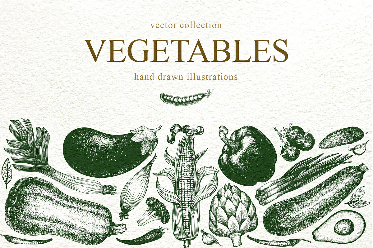 Vegetable Vector Collection, a Food Illustration by Lubov Illustrations Shop (Photo 1 of 6)